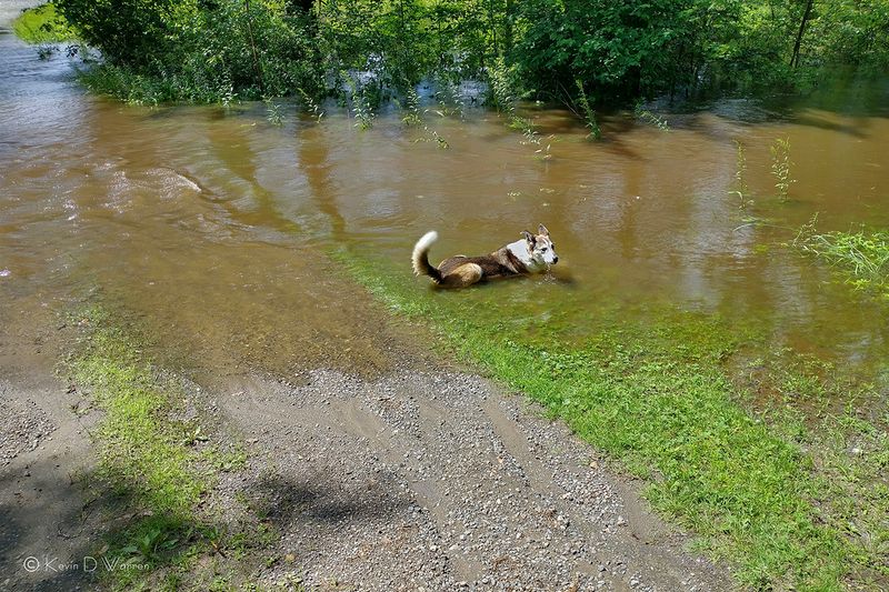 Crossing The Delaware