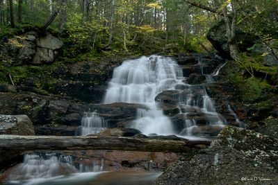 Ellen Falls