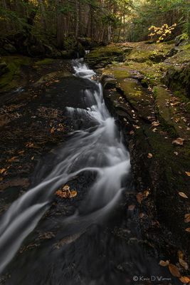 Snyder Brook Cascade