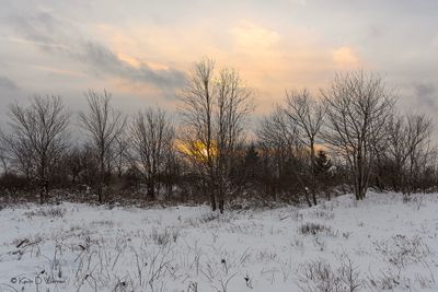 Featured Gallery