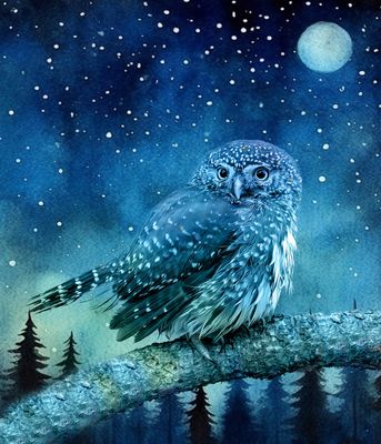 Birds of Montana