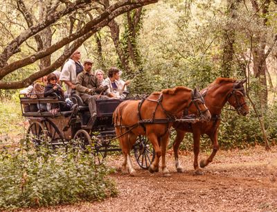 Provence