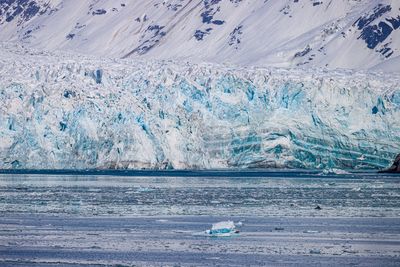 Hubbard Glacier