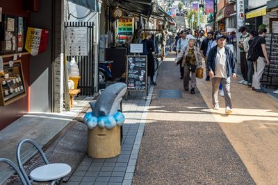 g13/30/414830/3/174970215.e149d387.JPEG