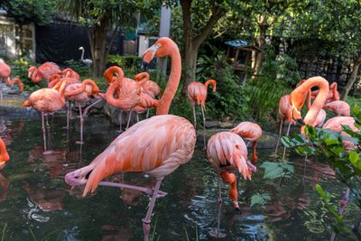 Ueno Zoo