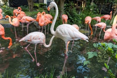 Ueno Zoo