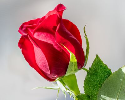 g13/30/414830/3/175307857.20037bfb.JPEG
