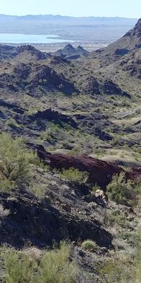 0202201214_HDR_Craggy_Wash_Havasu.jpg