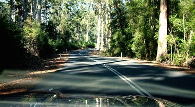 On the road to Pemberton