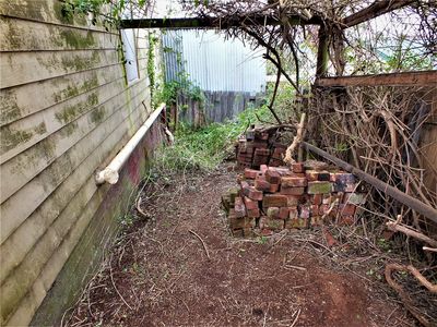 DSCF0015 (6).JPG