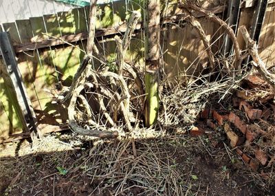 DSCF0002 (15).JPG