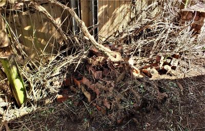 DSCF0003 (12).JPG