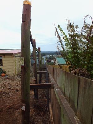 DSCF0015-015.jpg