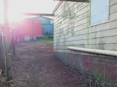 OUR BACK FENCE RESTORATION - THE CLEAN UP!