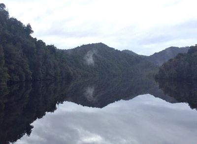 Gordon River Reflections