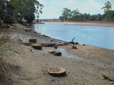 DSCF0073.JPG