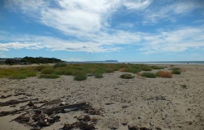 DSCF0122.JPG