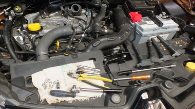 DSCF0006 - Copy (7).JPG