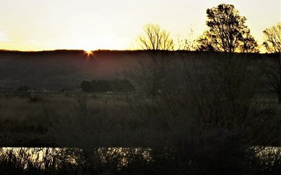 275.jpg