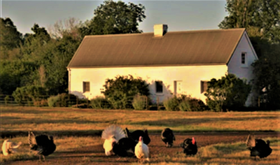 317 SOMERCOTES Near Ross.png