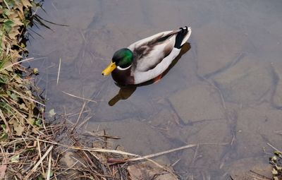20240816_140116.jpg
