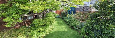 OUR GARDEN Oct. 2024