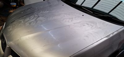 20250112_164222.jpg