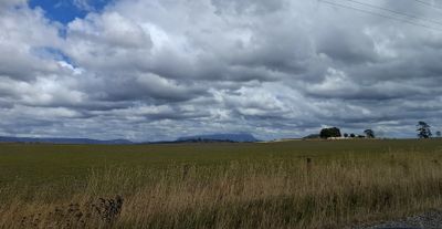 A TRIP TO LAUNCESTON FEB. 2025