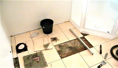 g13/30/482530/3/175340890.d20df7d2.JPEG