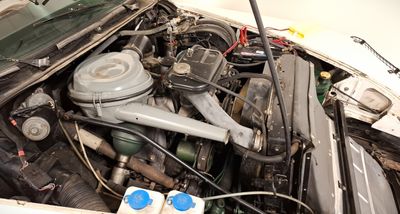 TAS. MOTOR MUSEUM Launceston May 2025