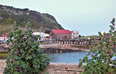 DSCF0132.JPG