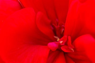 g13/30/528330/3/133963023.b1210e0e.JPEG