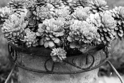 g13/30/528330/3/173746503.d93cc2c5.JPEG