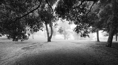 g13/30/528330/3/175302449.0149ebfd.JPEG