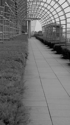 Top level walkway