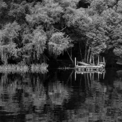 Historic camp site, Gordon River