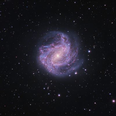 M83 Southern Pinwheel Galaxy OSC - 2023.jpg