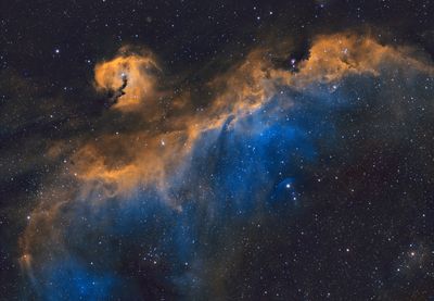 IC2177 Seagull Nebula SHO - 2024