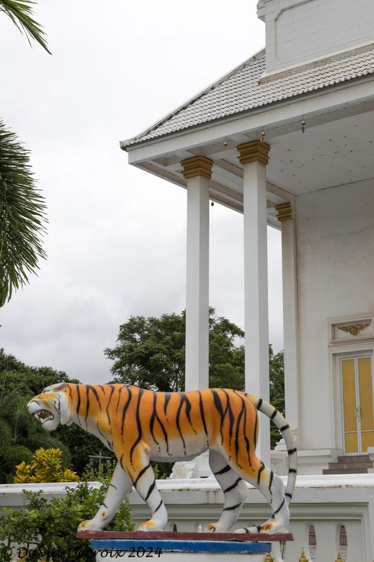Temple Tiger Statue