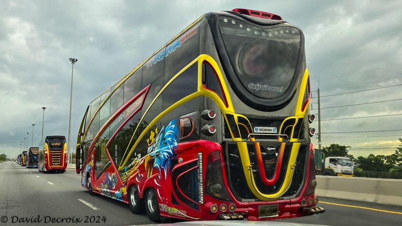 Colourful Buses