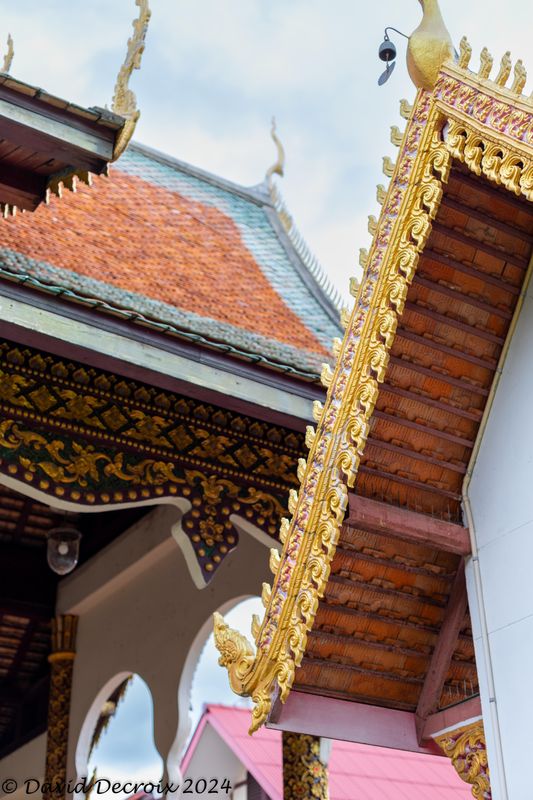 Chiang Mai Temple Roofs
