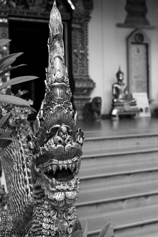 Thailand 2024