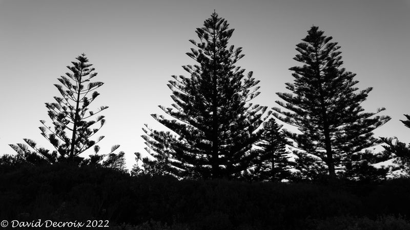 The Entrance, NSW