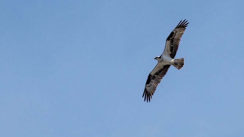 IMG_7344x-1-2.jpg