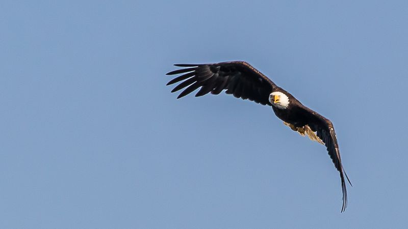 IMG_8385x-1.jpg
