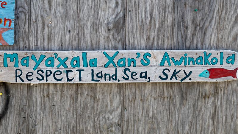 Ergens langs de hoofdweg van Alert Bay, stadje op eiland dat grotendeels bewoond wordt door First Nation inwoners en beheerst wo
