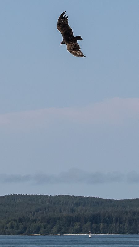 IMG_8538x-1.jpg