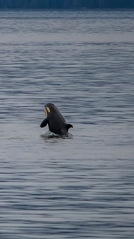 IMG_8639x-1.jpg