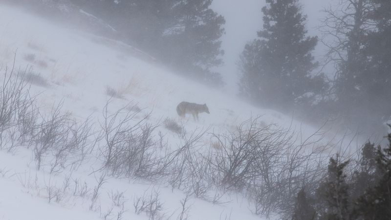 IMG_5713.jpg