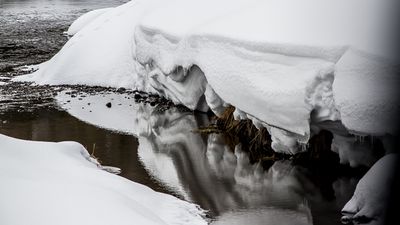 2018_ynp_april